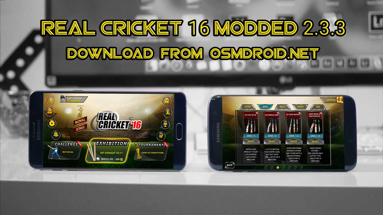 real cricket 16